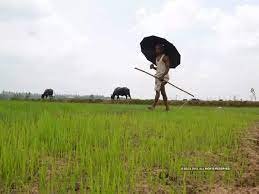 या वर्षी पावसाचे थैमान ? अल निनो गेला आता ला नीना येणार !