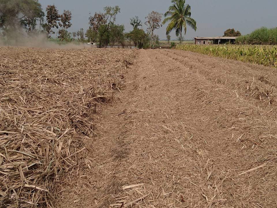 मातीची स्थिती कशी सुधारायची?
