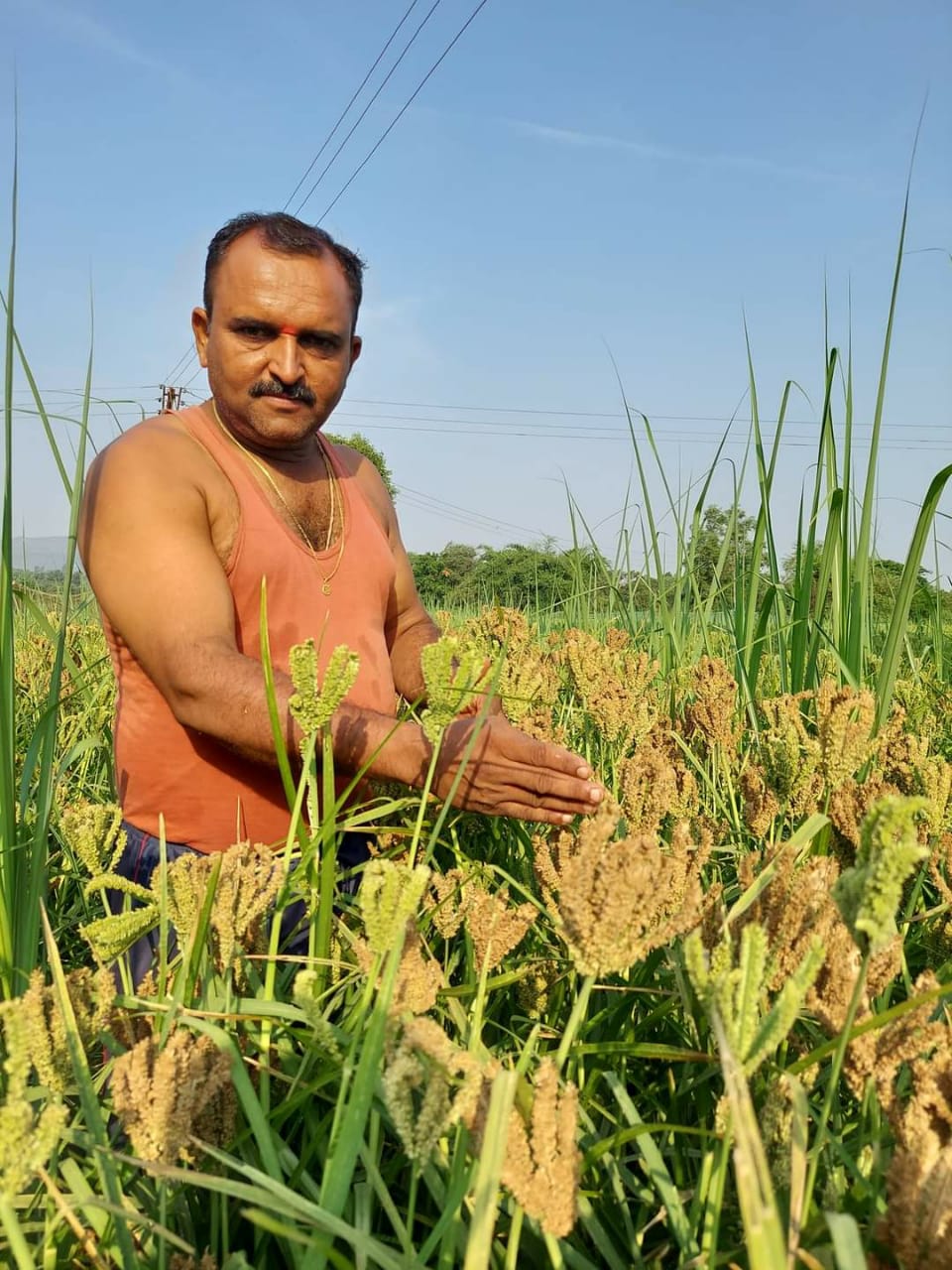 किसान क्रेडिट कार्डवर अर्थमंत्र्यांची मोठी घोषणा