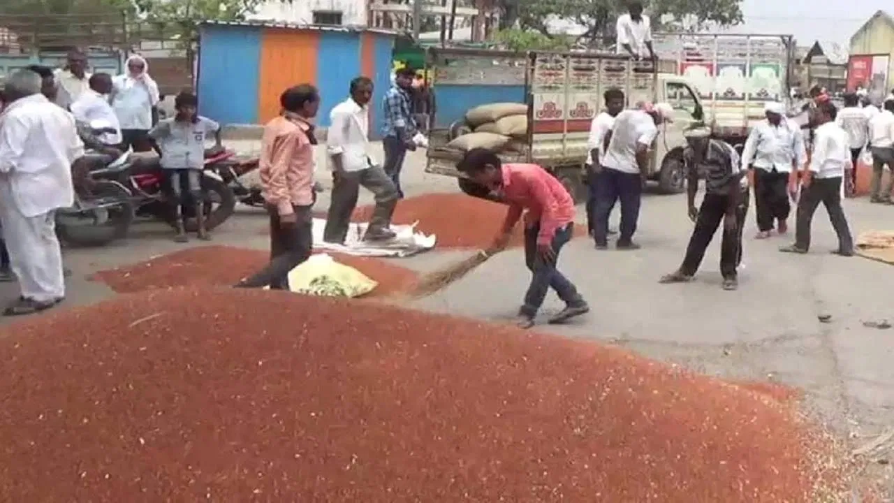 तूर खरेदीला मुदतवाढ, केंद्र सरकारचा मोठा निर्णय